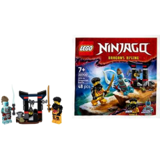 Lego - Arin versus Dragonian Battle